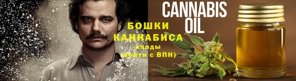 прущая мука Ельня