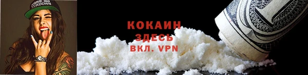 прущая мука Ельня