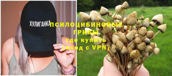 прущая мука Ельня