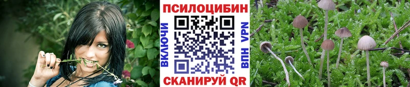 Галлюциногенные грибы GOLDEN TEACHER  Джанкой 